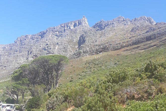 Cape Town Halfday City and Table Mountain Tour - Bo-Kaap brings history and color