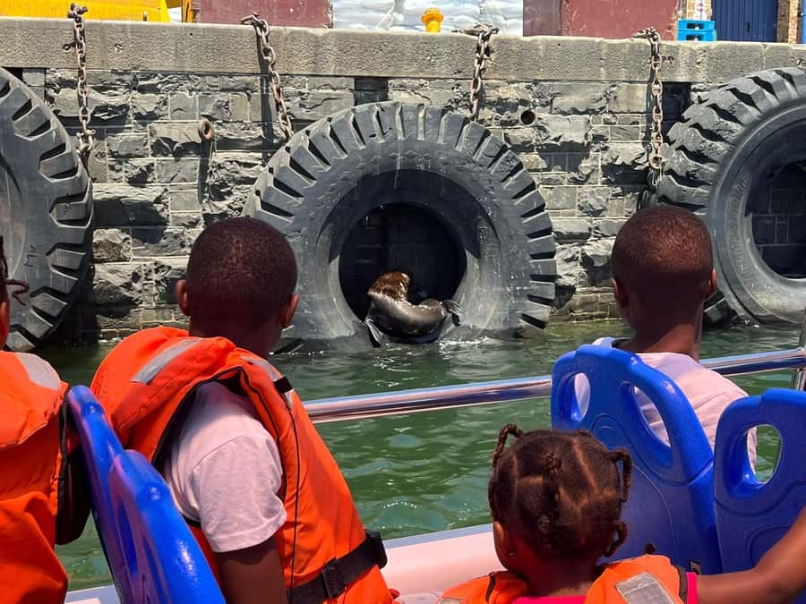 Cape Town: Harbor Cruise - Old Harbour and International Docks