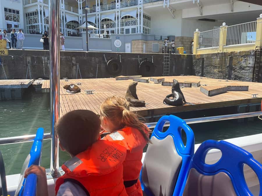 Cape Town: Harbor Cruise - Booking flexibility and timing