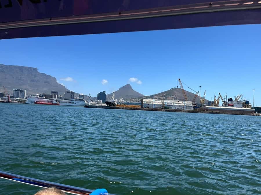 Cape Town: Harbor Cruise - Watching the harbor wake up around you