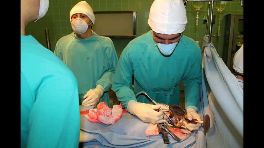 Cape Town: Heart of Cape Town Medical Museum Entrance Ticket - Key points to know before you go