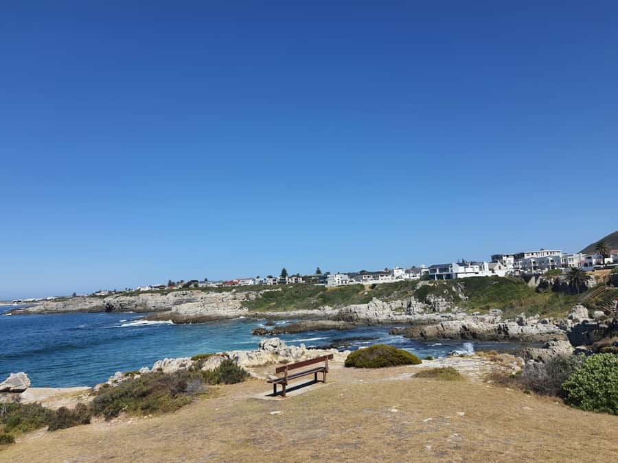 Cape Town: Hermanus Whale Watching Shared Boat & Penguins - The drive from Cape Town to New Harbour