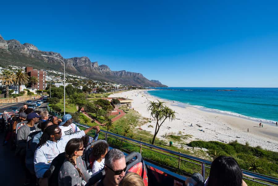 Cape Town: Hop-On Hop-Off Bus Tour with Optional Cruise - The purple route adds Constantia wine country