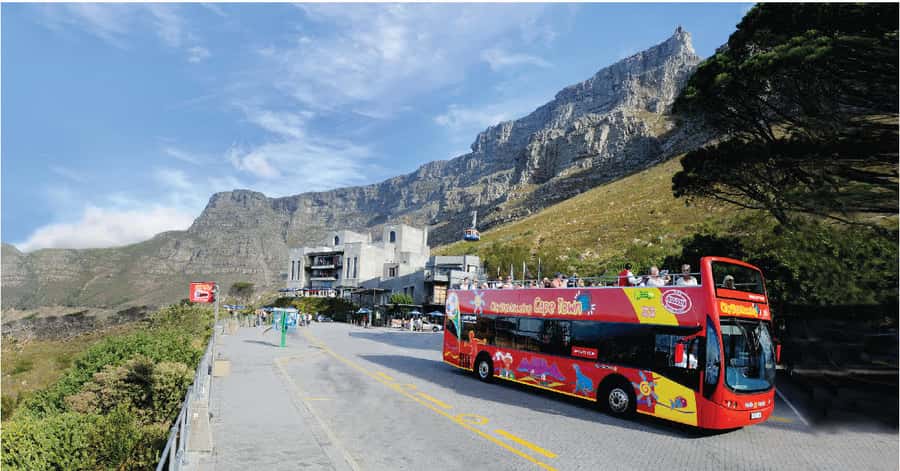 Cape Town: Hop-On Hop-Off Bus Tour with Optional Cruise - The blue route brings the mountain and coast together