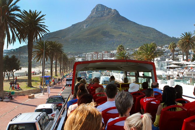 Cape Town Hop-On Hop-Off City Tour with Optional Cruise - Kirstenbosch and the Blue Mini Peninsula Route