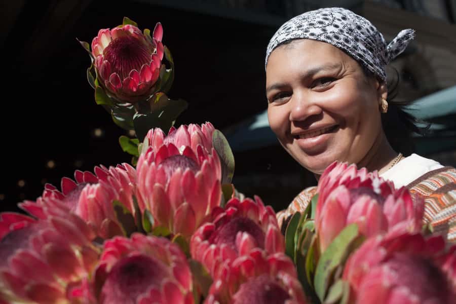 Cape Town: Introductory City Tour by Foot and Minibus - A four-hour introduction to Cape Town