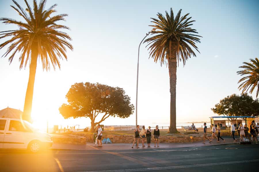 Cape Town: Introductory City Tour by Foot and Minibus - Starting at the Victoria and Alfred Waterfront