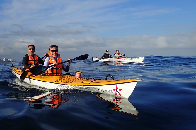 Cape Town Kayak Adventure in Table Mountain Marine Reserve - Choosing between Clifton and the V&A Waterfront