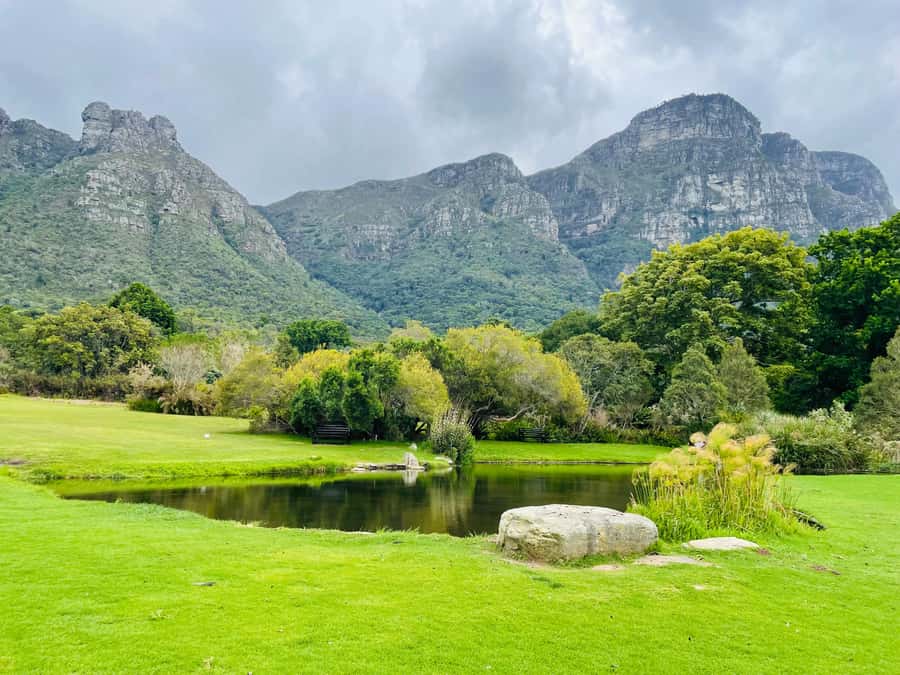 Cape Town: Kirstenbosch Botanical Garden Entry Ticket - Paths, water features, and the value of taking your time