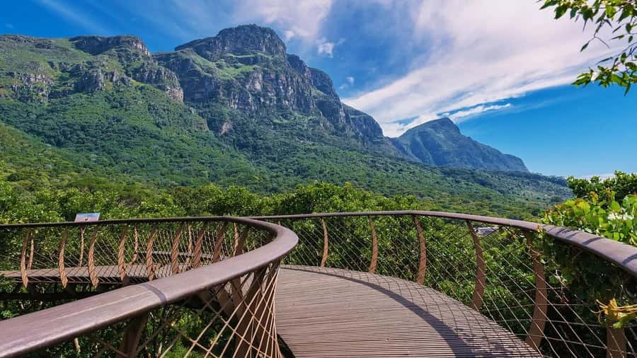 Cape Town: Kirstenbosch Botanical Garden Entry Ticket - Shoes, bags, identification, and payment