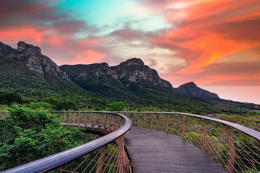 Cape Town: Kirstenbosch Botanical Garden Entry Ticket - What the $34 price really covers