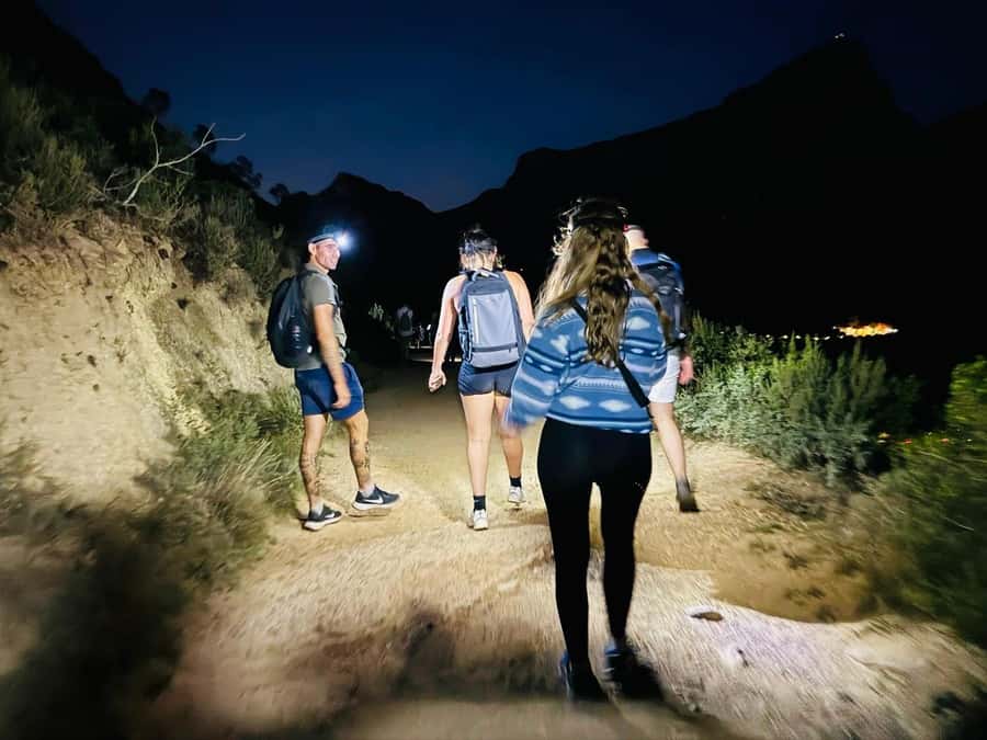 Cape Town: Lion's Head Hike sunrise and sunset (MGG) - Learning about plants, wildlife, and Cape Towns past