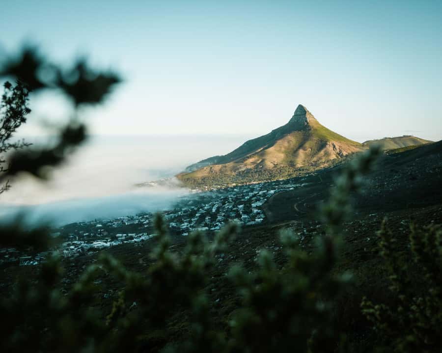 Cape Town: Lion's Head Hiking Experience - Key points at a glance