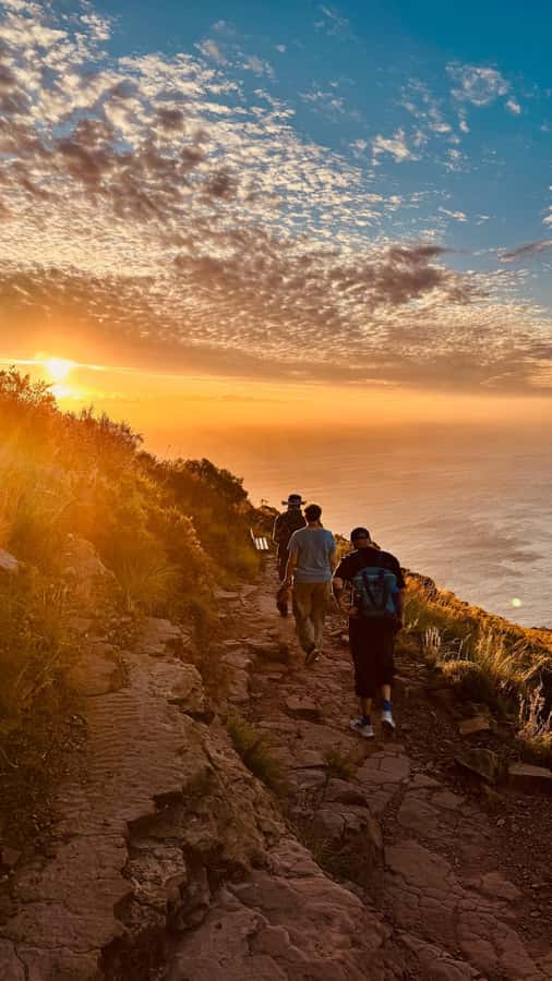 Cape Town: Lion's Head Sunrise or Sunset Guided Hike - Sunrise: quiet trails and changing color