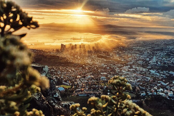 Cape Town: Lion's Head Sunrise/Sunset Hike - The upper section, ladders, and summit views