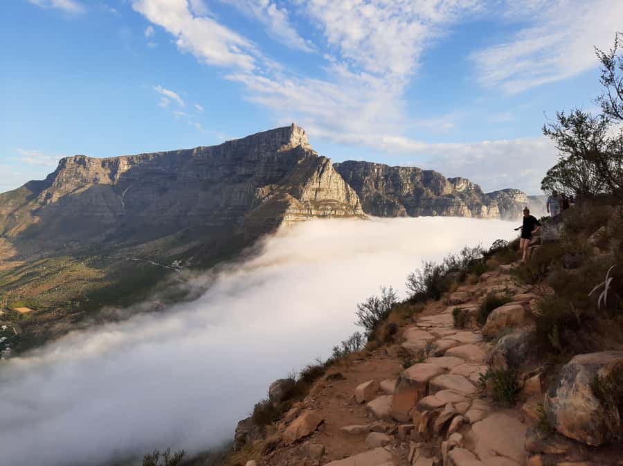 Cape Town: Lion's Head Sunrise with coffee or Sunset Hike - The ladders, chains, and two route choices