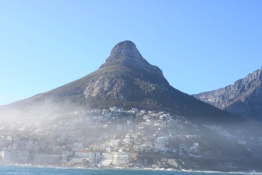 Cape Town: Marine Big 5 Ocean Safari from V&A Waterfront - Searching for dolphins, seals, penguins, whales, and sunfish