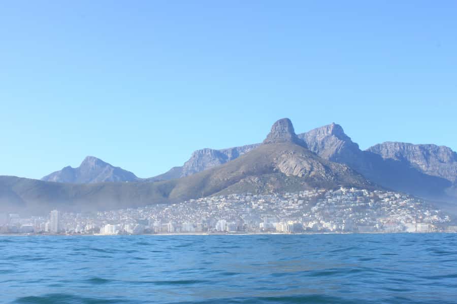 Cape Town: Marine Big 5 Ocean Safari from V&A Waterfront - Crew service and the small touches