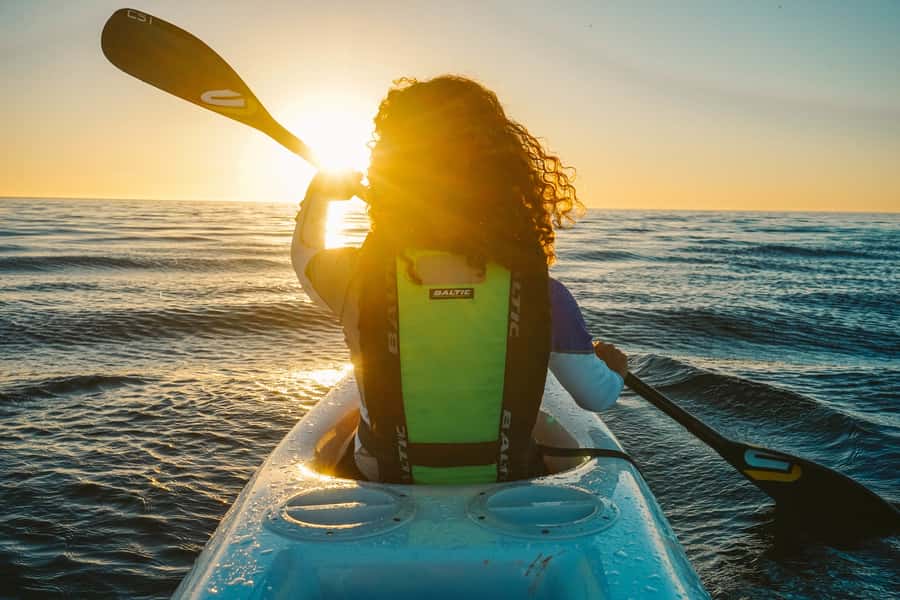 Cape Town: Marine Life Kayak Tour From the V&A Waterfront - Guides Who Keep Beginners at Ease