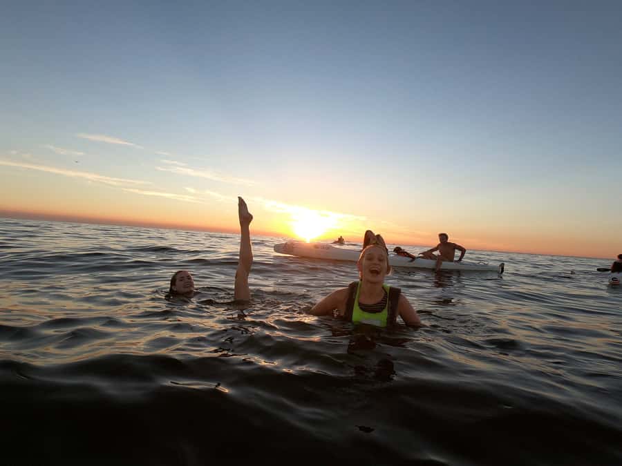 Cape Town: Marine Life Kayak Tour From the V&A Waterfront - The Ocean Conditions Matter