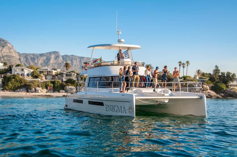 Cape Town: Morning Prosecco Cruise & Mimosa Breakfast - Wildlife watching without an intrusive boat chase