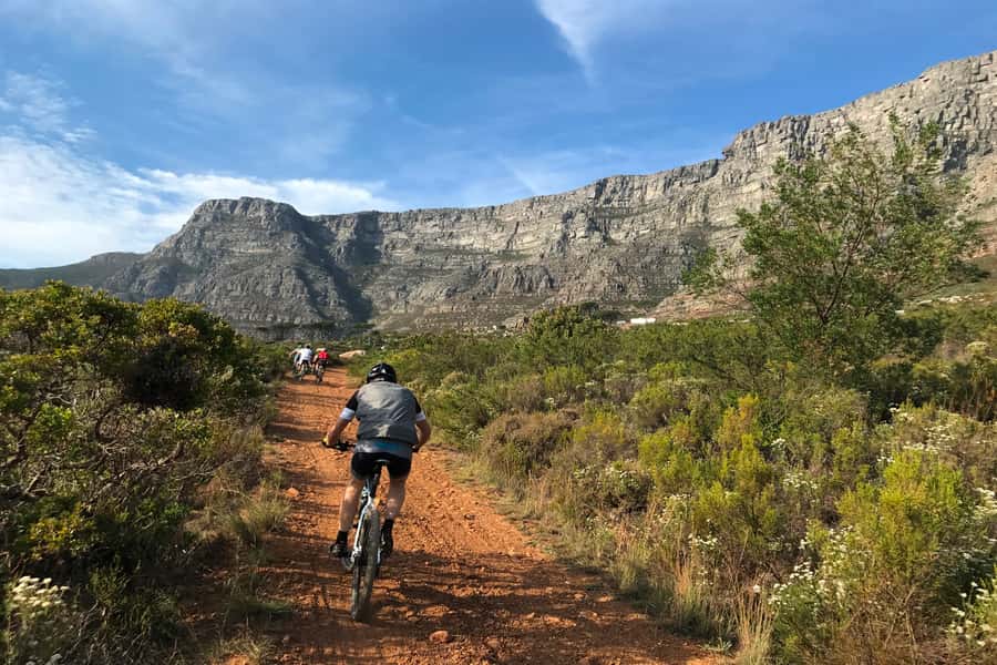 Cape Town: Mountain Biking Trip along Table Mountain - Starting at Constantia Neck on Table Mountain