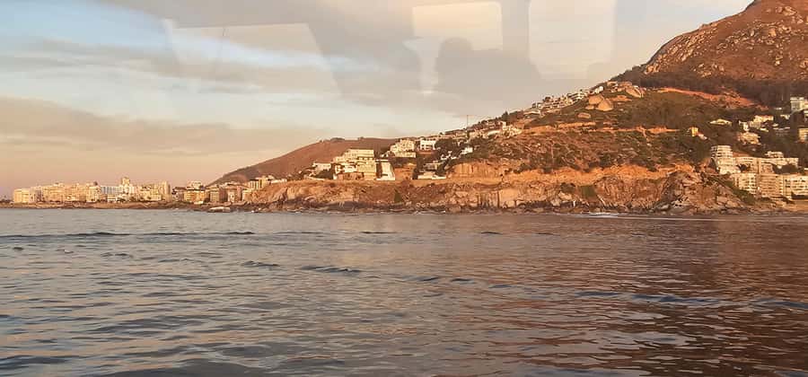 Cape Town: Ocean Safari 1 Hour - Key points to know before you book