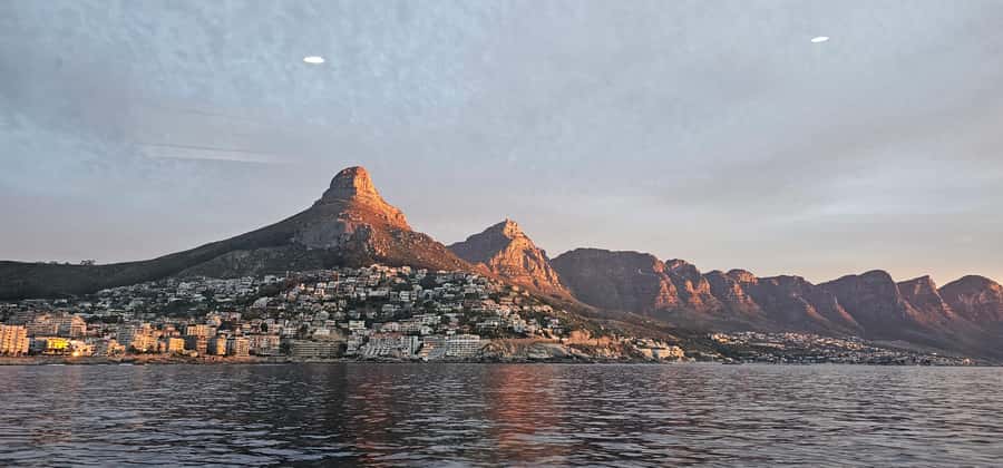 Cape Town: Ocean Safari 1 Hour - Weather, wildlife, and realistic expectations