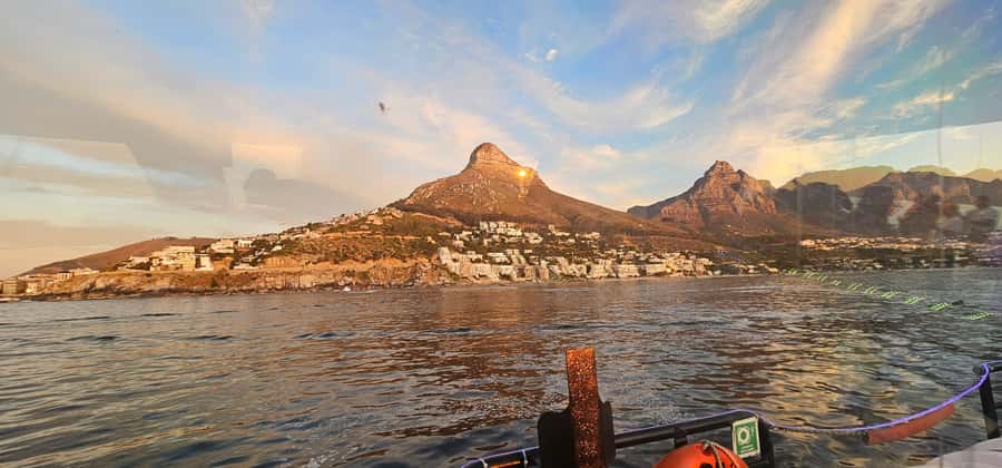 Cape Town: Ocean Safari 1 Hour - The animals you may see along the coast