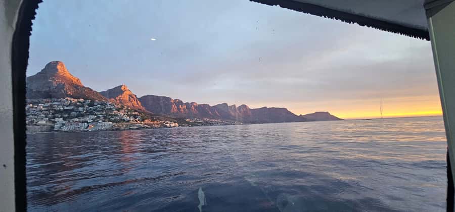 Cape Town: Ocean Safari 1 Hour - The guide’s commentary and the best place to listen