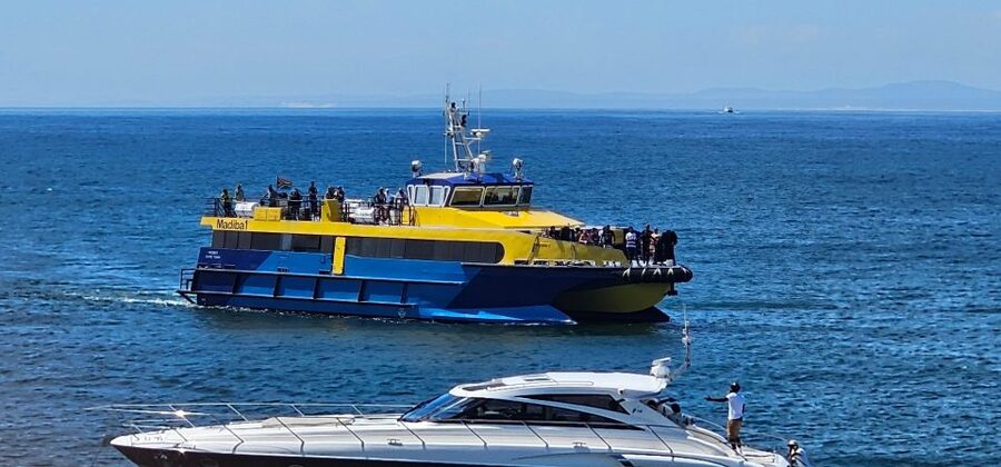 Cape Town: Ocean Safari 1 Hour - Table Mountain looks different from the water
