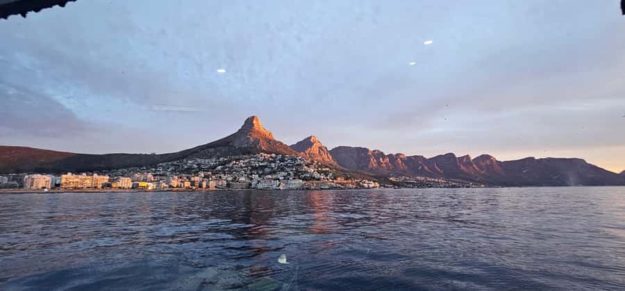 Cape Town: Ocean Safari 1 Hour - Who will enjoy this boat safari most?