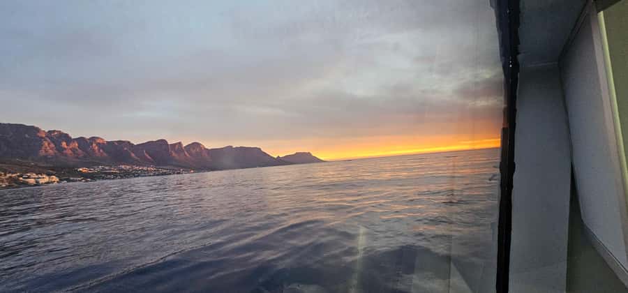 Cape Town: Ocean Safari 1 Hour - What to bring and how to prepare