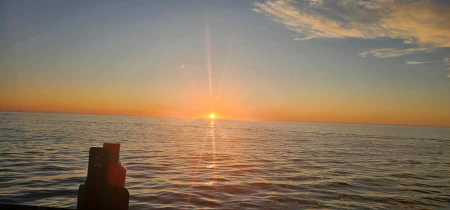 Cape Town: Ocean Safari 1 Hour - What the one-hour route feels like