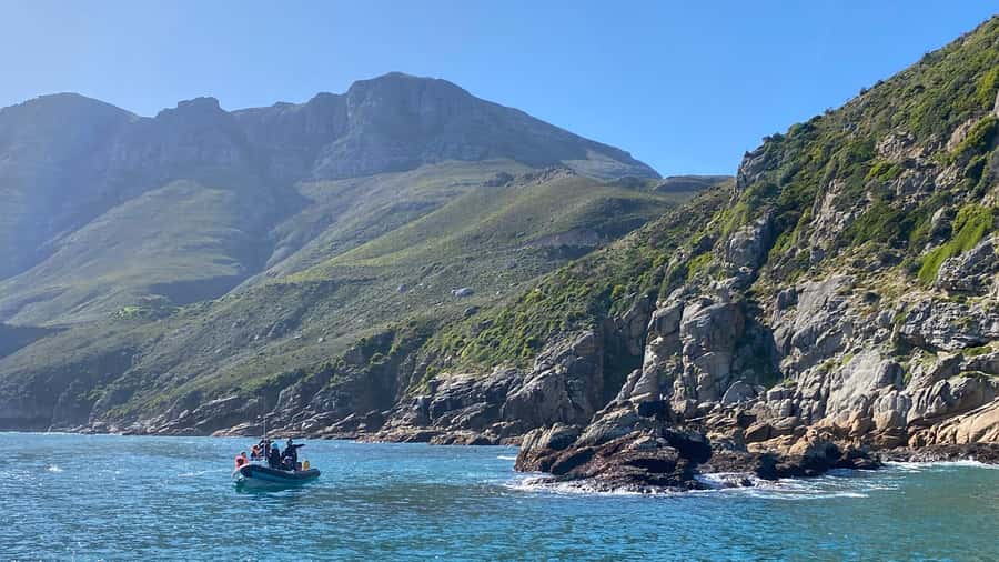 Cape Town: Ocean Safari in Hout Bay - Who should book this Hout Bay trip