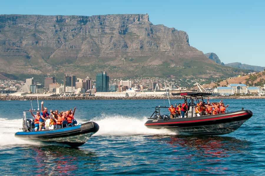 Cape Town Ocean Safari: Speed Boat Adventure in Table Bay - Key points to know before you book