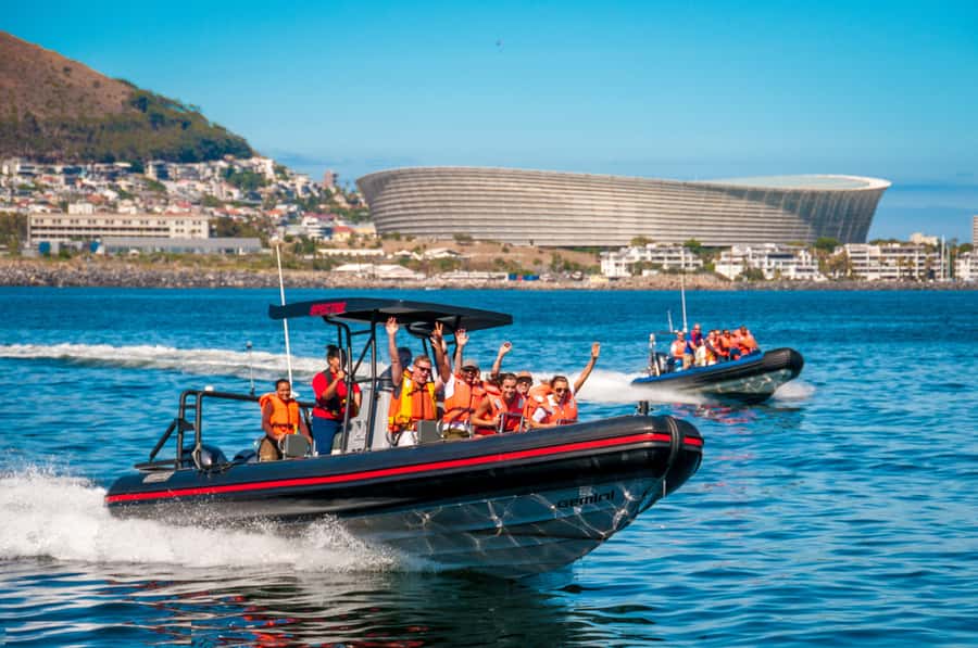 Cape Town Ocean Safari: Speed Boat Adventure in Table Bay - Slowing down to search Table Bay