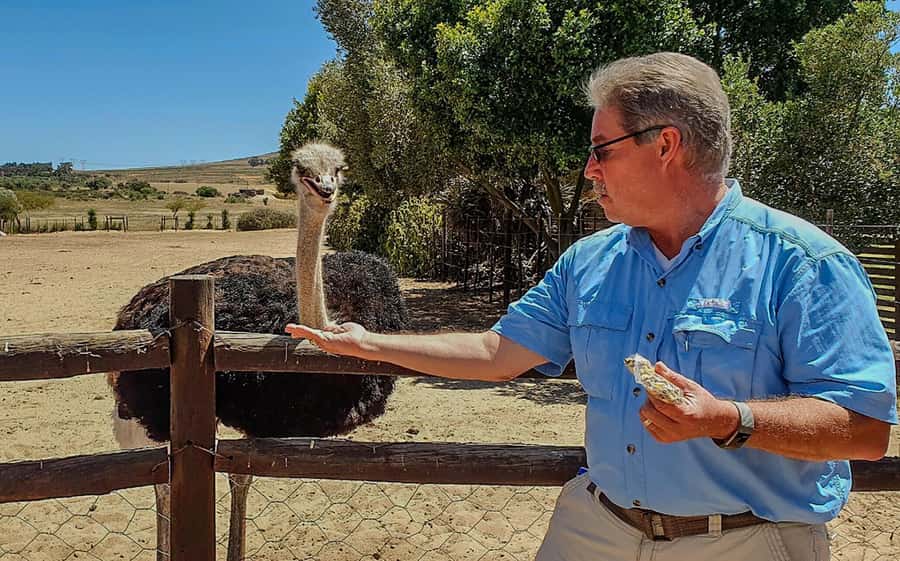 CAPE TOWN: OSTRICH RANCH QUAD BIKE RIDE & OSTRICH TOUR - Timing, transport, and what to bring