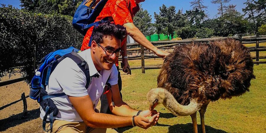 CAPE TOWN: OSTRICH RANCH QUAD BIKE RIDE & OSTRICH TOUR - Booking flexibility and possible snags