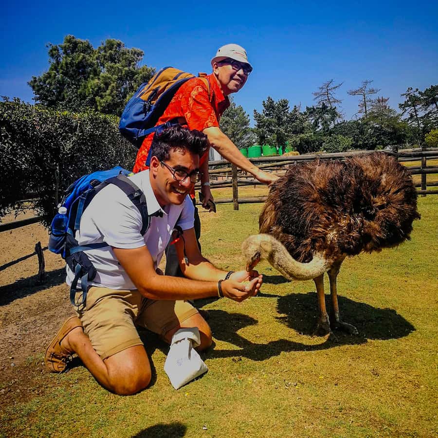 CAPE TOWN: OSTRICH RANCH QUAD BIKE RIDE & OSTRICH TOUR - What the uneven terrain means for you