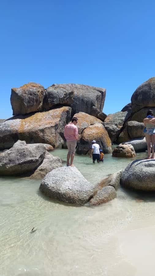 Cape Town: Penguin Watching at Boulders Beach Half Day Tour - Chapman’s Peak Drive adds drama without adding a full day
