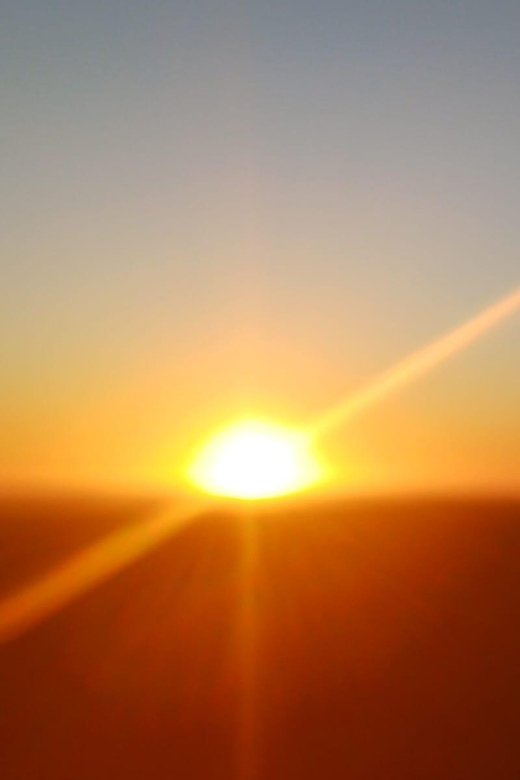 Cape Town: Penguins and Cape of Good Hope Sunset Tour - What the guide can add