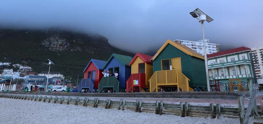 Cape Town: Peninsula, Penguins & Cape of Good Hope Day Tour - Chapman’s Peak is the scenic road highlight