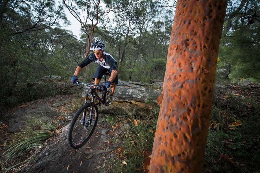Cape Town: Peninsula Private Mountain Bike Tour with Ex-Pro - A private ride through Cape Town’s Southern Peninsula
