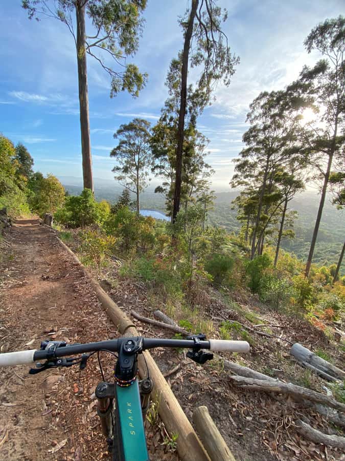 Cape Town: Peninsula Private Mountain Bike Tour with Ex-Pro - FAQ