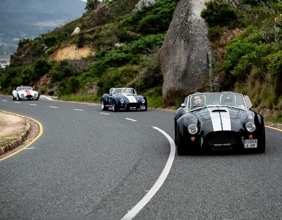 Cape Town: Premium Attractions City Pass with Bus Tour - Wine estates, farms, and the wider Cape
