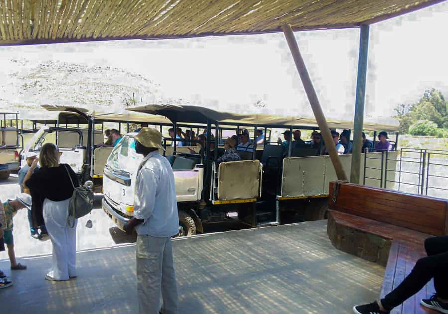Cape Town: Private Aquila Reserve Safari with Winery Lunch - Arriving at Aquila Private Nature Reserve