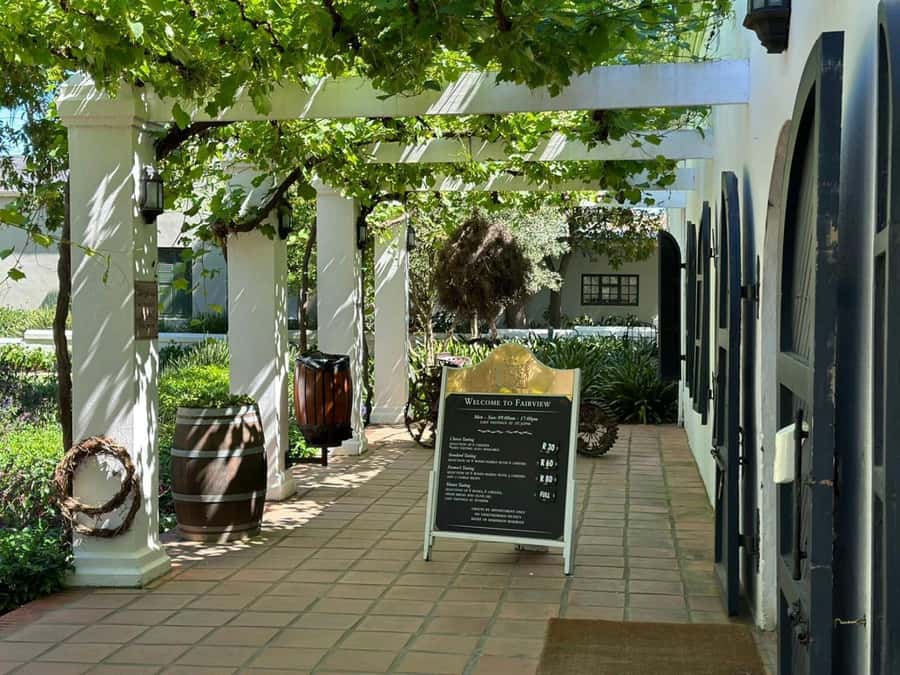Cape town: Private Full-day Big 5 Aquila Game Reserve Tour - Who will enjoy this most?