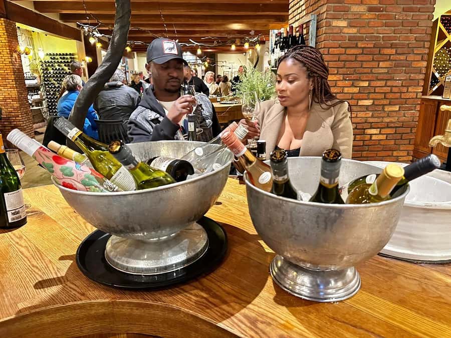 Cape town: Private Full-day Big 5 Aquila Game Reserve Tour - A long Cape Town day with two very different sides