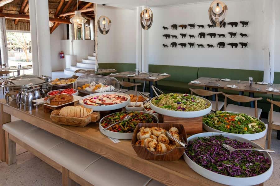 Cape town: Private Full-day Big 5 Aquila Game Reserve Tour - Buffet lunch at the lodge